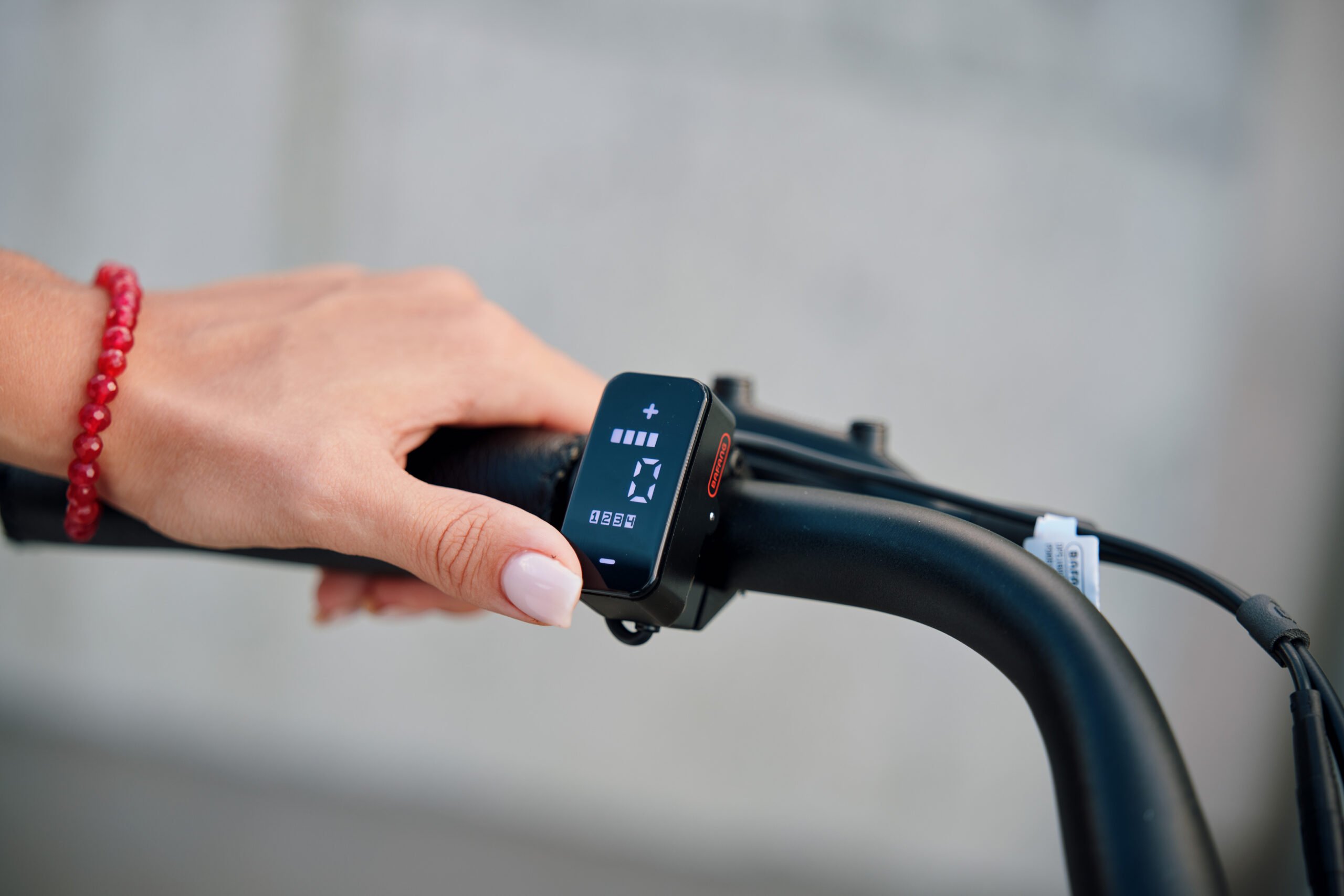 e-bike control
