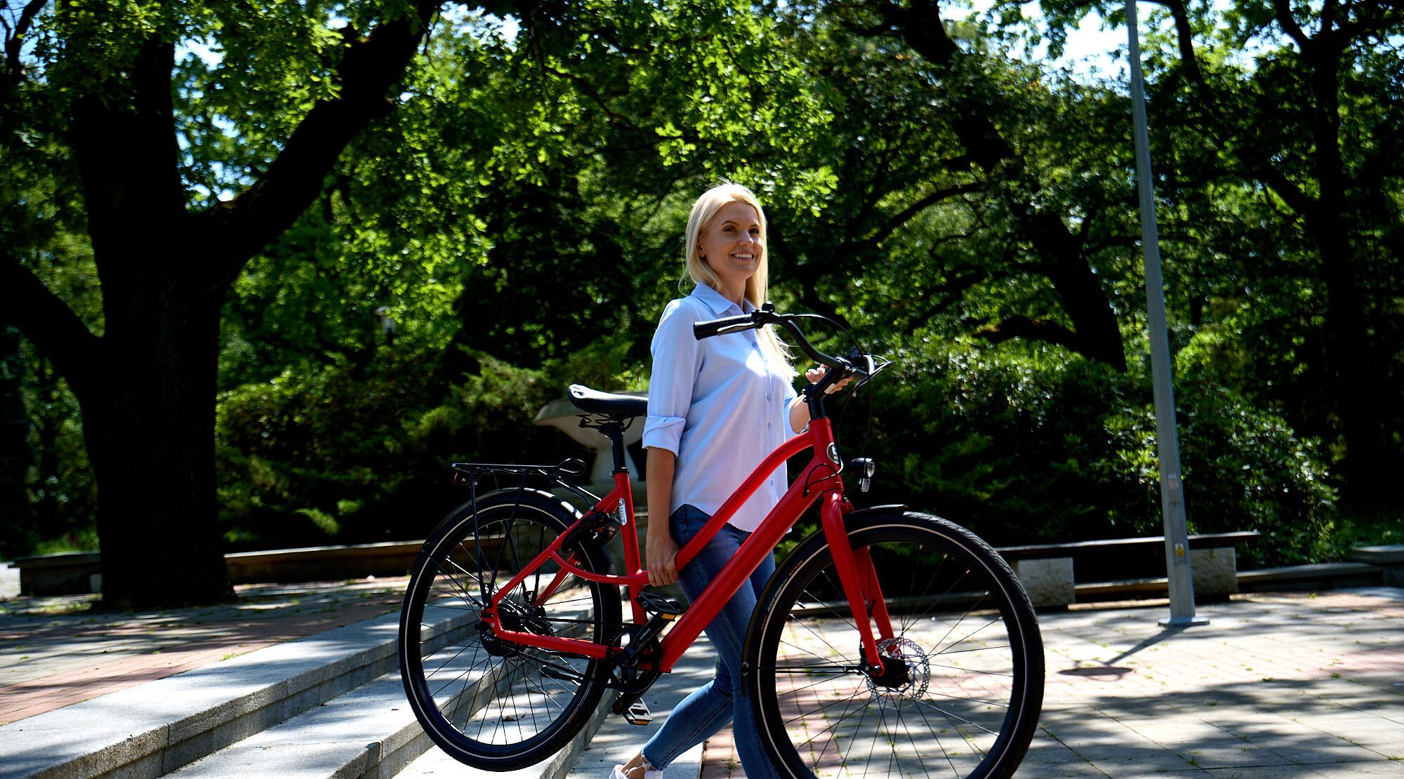 e-bike light to carry 15kg e-bike